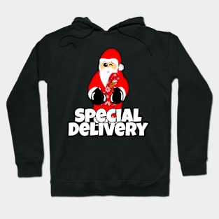 Special Delivery Naughty Santa Dildo Sex Toy Hoodie